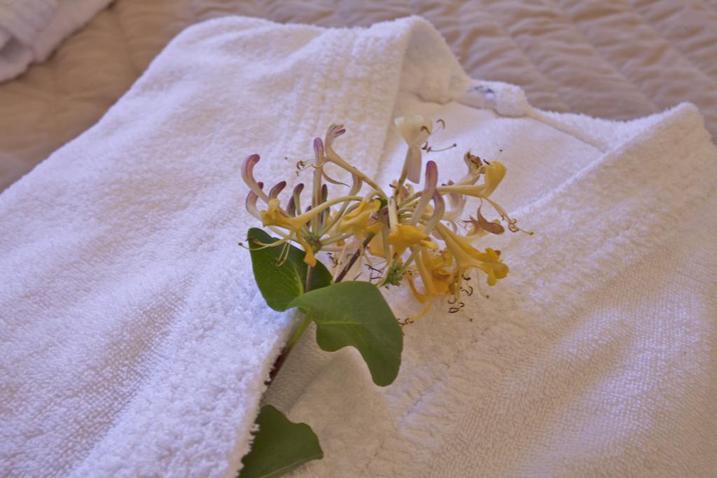 Mare E Monti - Hotel De Charme 费里切托 外观 照片